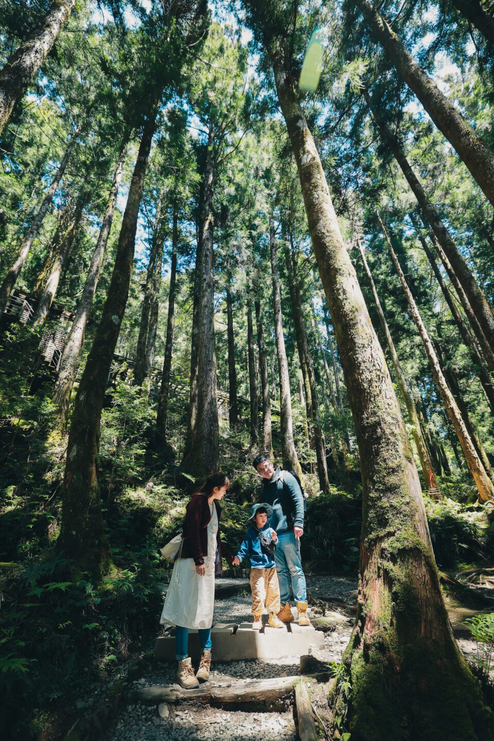 The Lin's Family 旅拍｜全家福｜親子寫真｜兒童寫真｜寶寶照