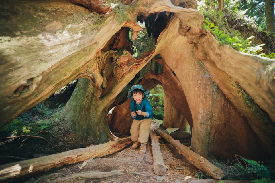 The Lin's Family 旅拍｜全家福｜親子寫真｜兒童寫真｜寶寶照