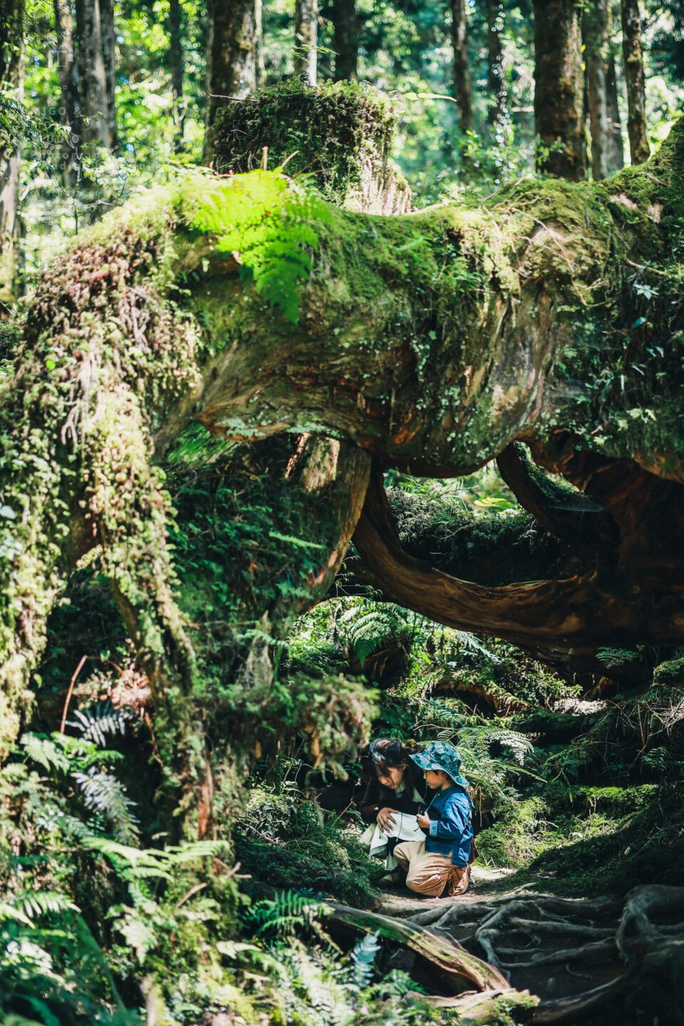 The Lin's Family 旅拍｜全家福｜親子寫真｜兒童寫真｜寶寶照
