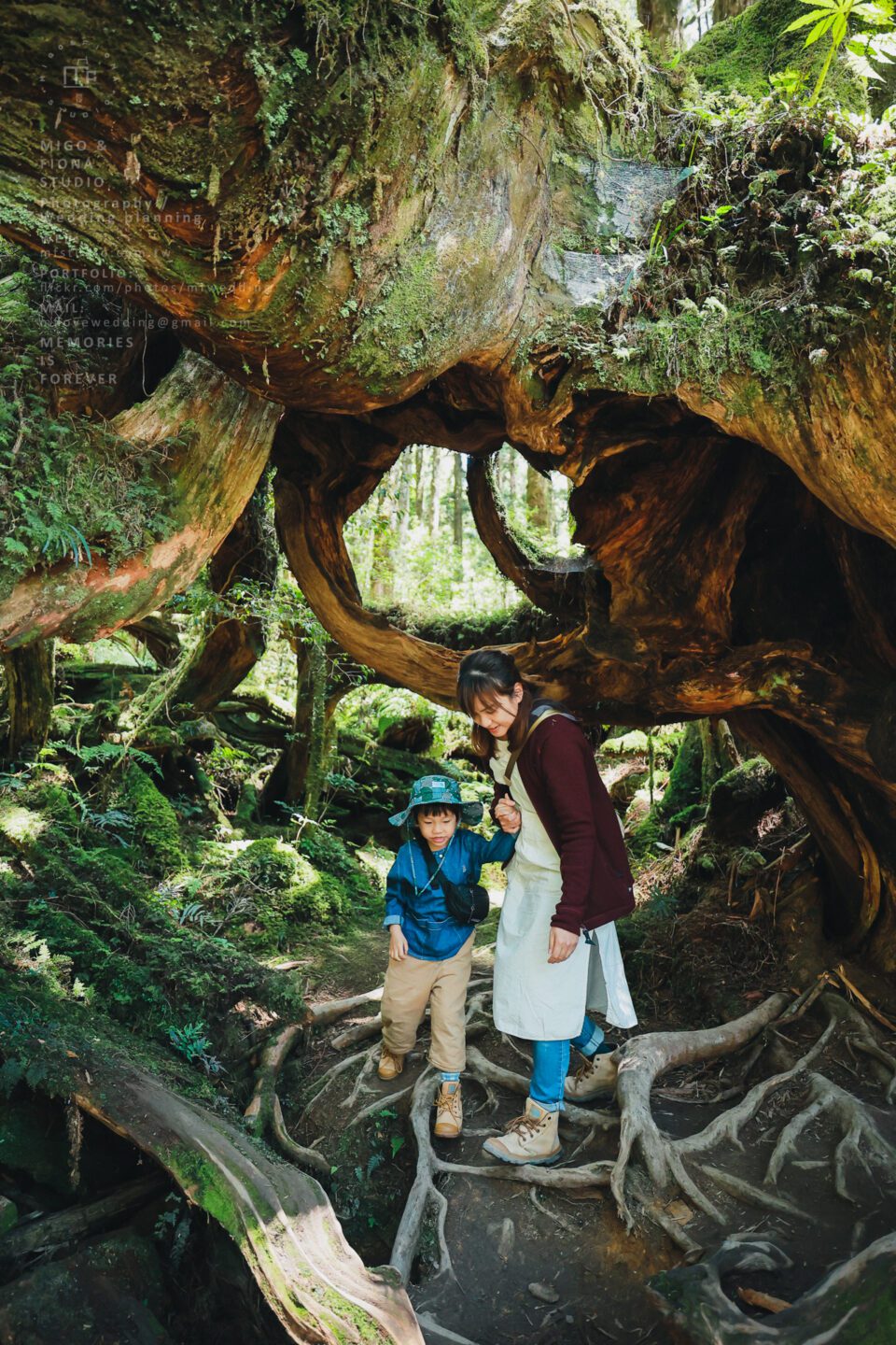 The Lin's Family 旅拍｜全家福｜親子寫真｜兒童寫真｜寶寶照