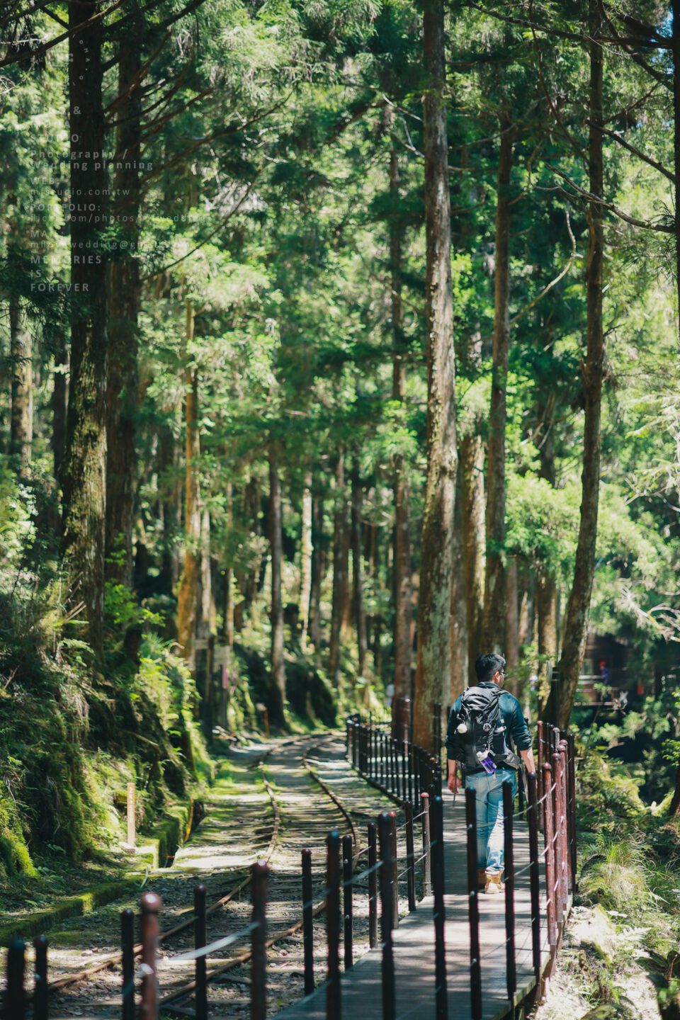 The Lin's Family 旅拍｜全家福｜親子寫真｜兒童寫真｜寶寶照