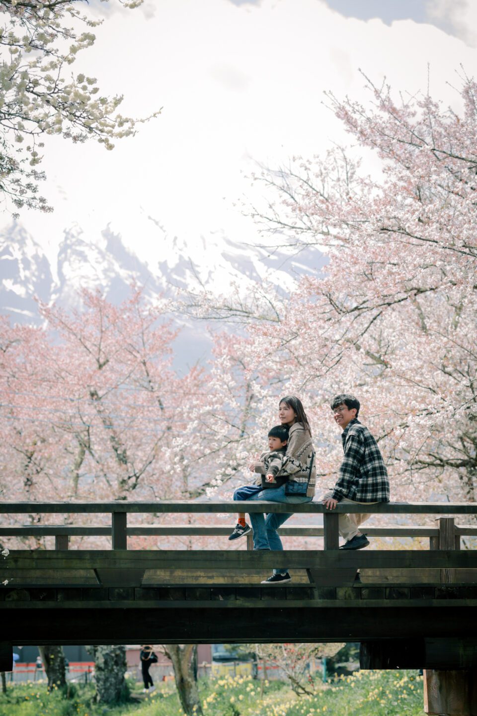 日本旅拍｜東京旅拍｜親子寫真｜兒童寫真 櫻花 富士山 河口湖