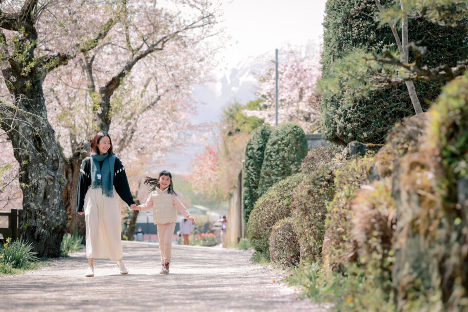 日本旅拍｜東京旅拍｜親子寫真｜兒童寫真 櫻花 富士山 河口湖