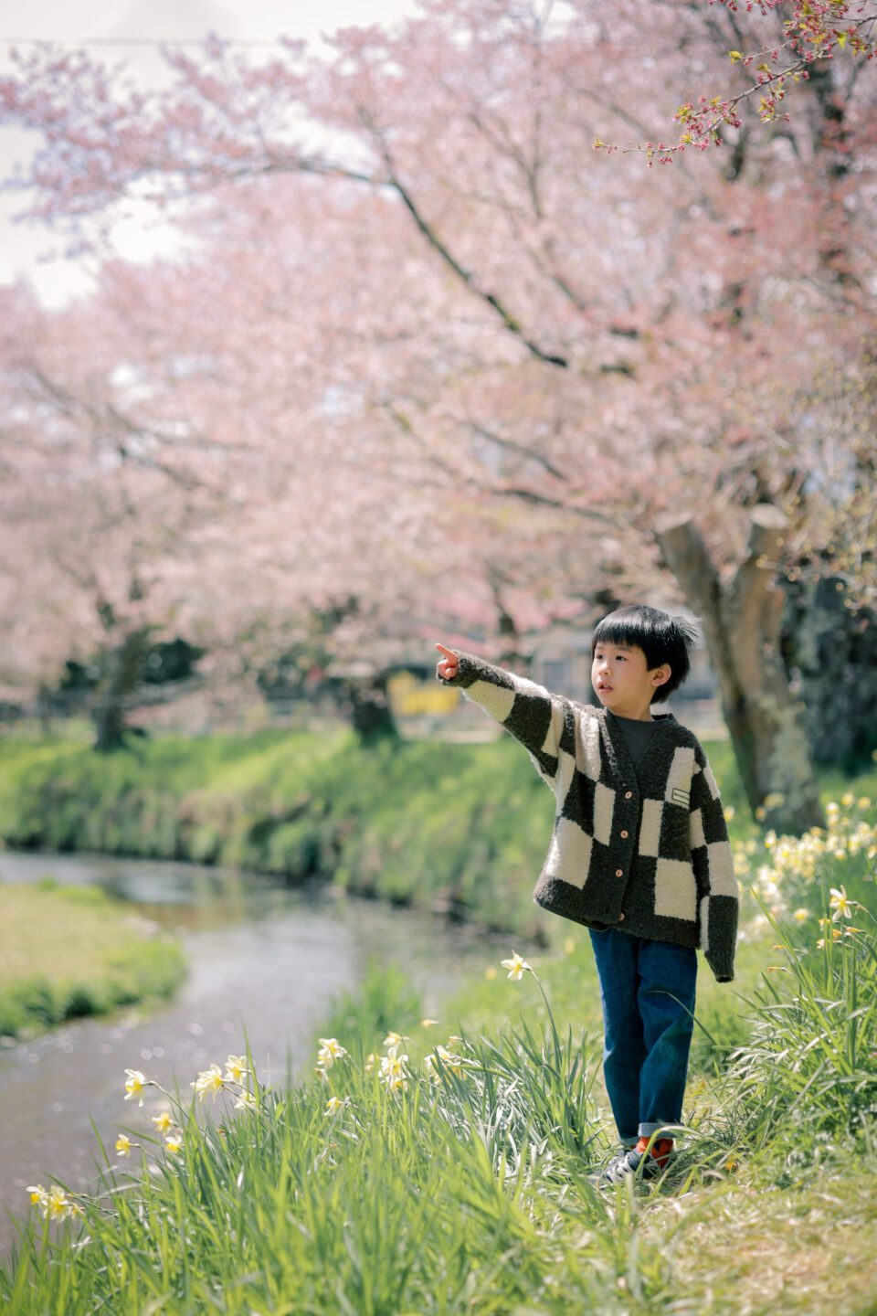 日本旅拍｜東京旅拍｜親子寫真｜兒童寫真 櫻花 富士山 河口湖