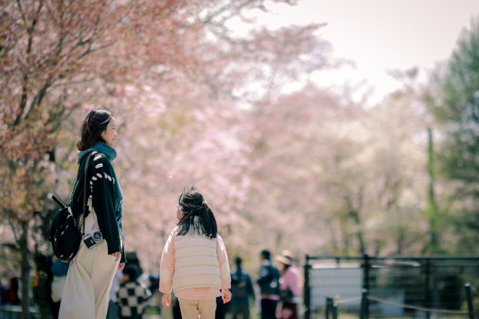 日本旅拍｜東京旅拍｜親子寫真｜兒童寫真 櫻花 富士山 河口湖