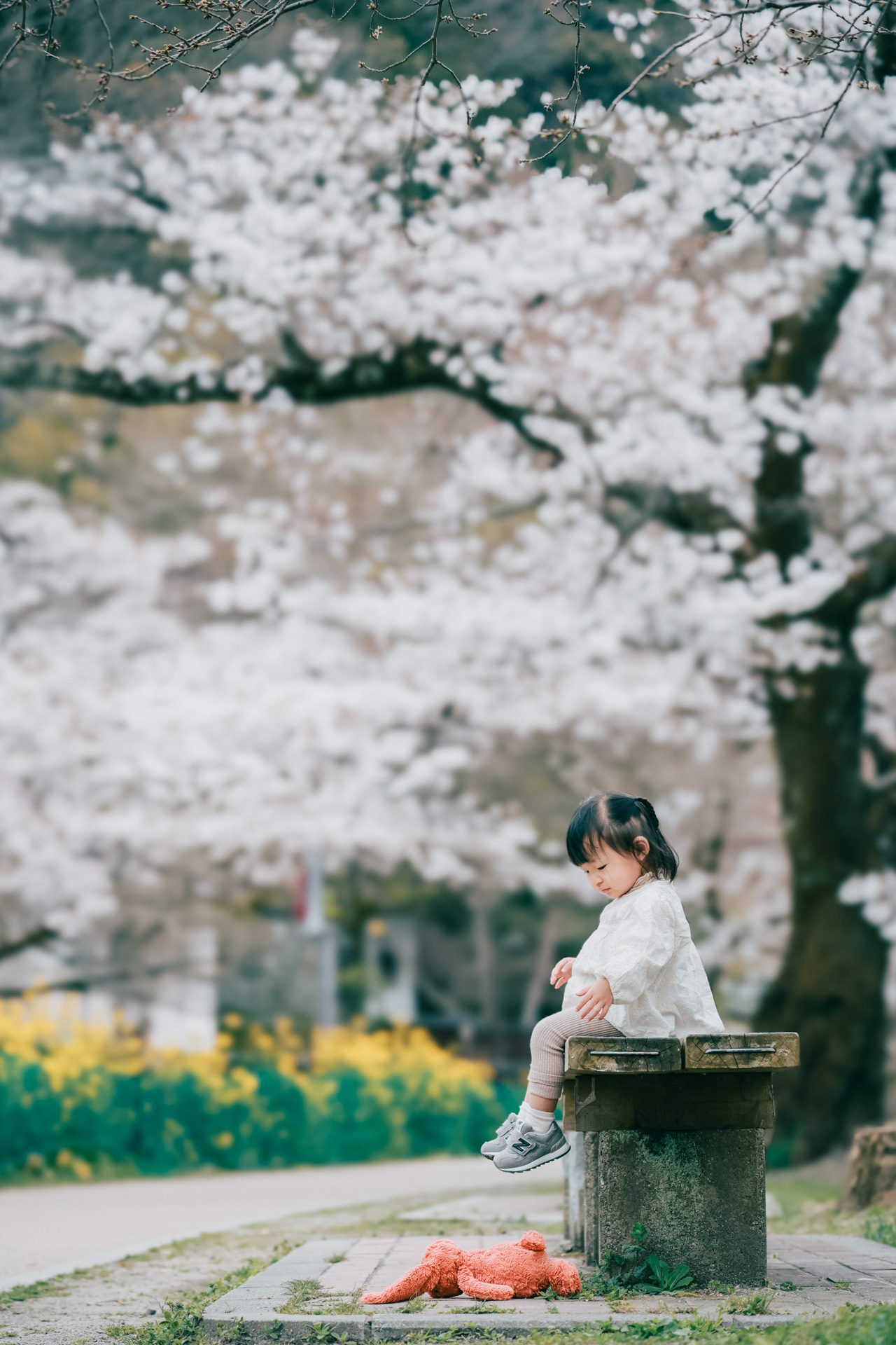 京都旅拍｜櫻花｜親子寫真｜全家福｜旅行紀錄