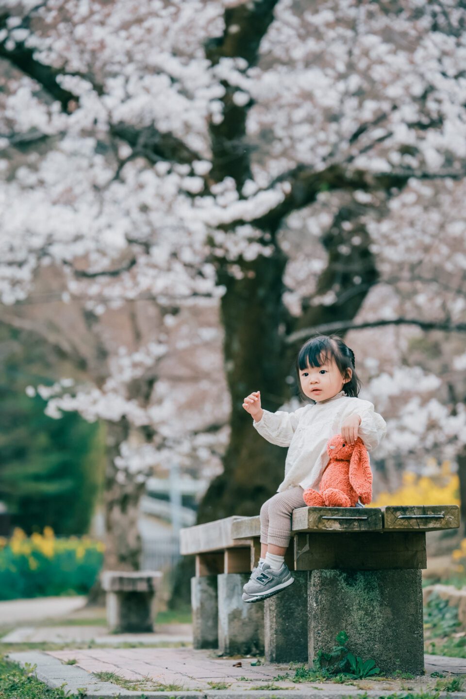 京都旅拍｜櫻花｜親子寫真｜全家福｜旅行紀錄