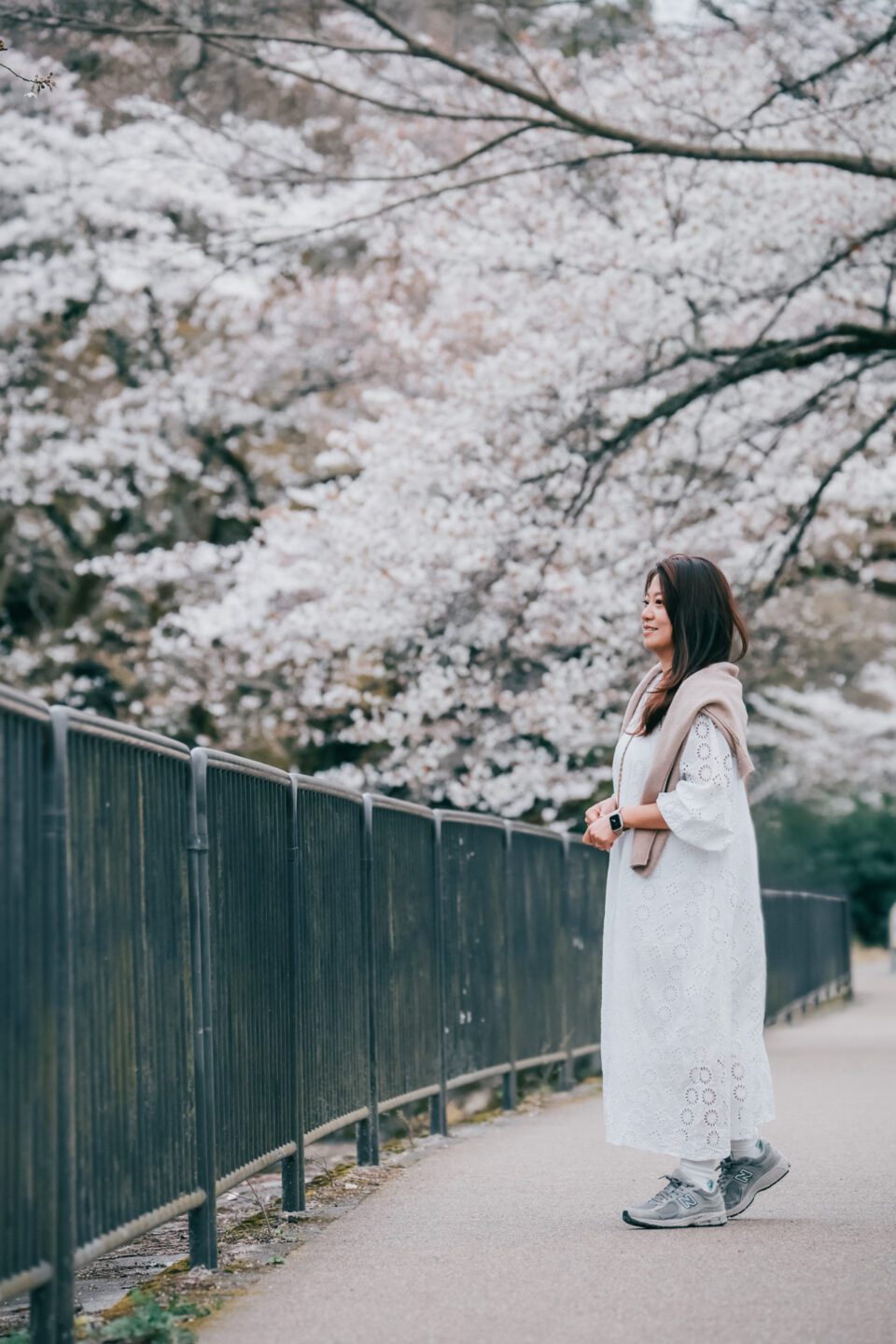 京都旅拍｜櫻花｜親子寫真｜旅行紀錄