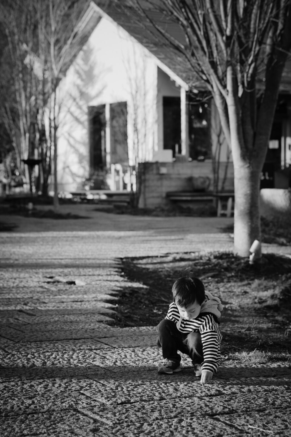 謙與霏 河口湖｜富士山旅拍｜親子寫真｜旅行紀錄