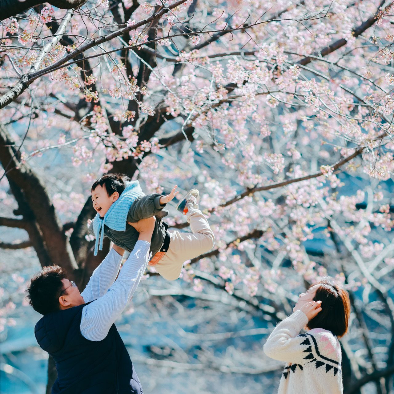 東京旅拍｜櫻花｜親子寫真｜全家福｜旅行紀錄