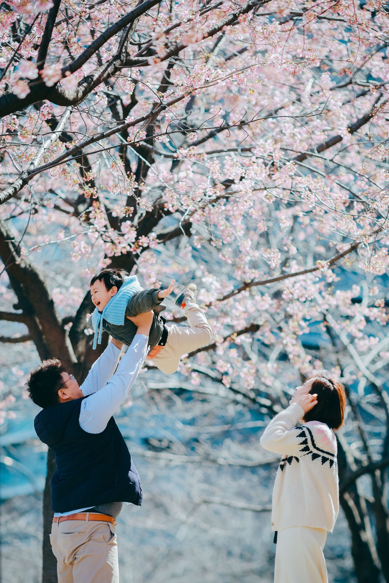 東京旅拍｜櫻花｜親子寫真｜全家福｜旅行紀錄