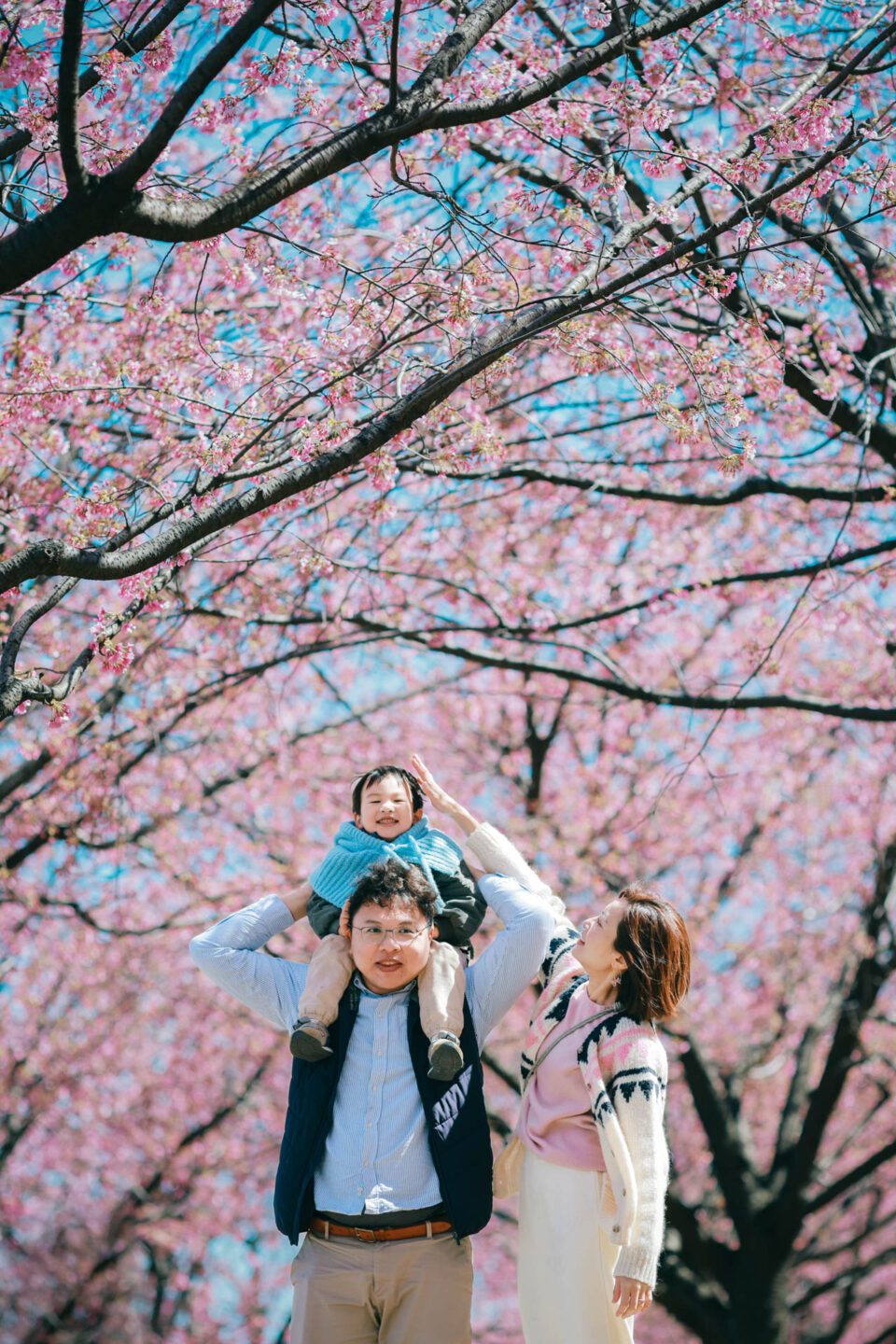 東京旅拍｜櫻花｜親子寫真｜全家福｜旅行紀錄