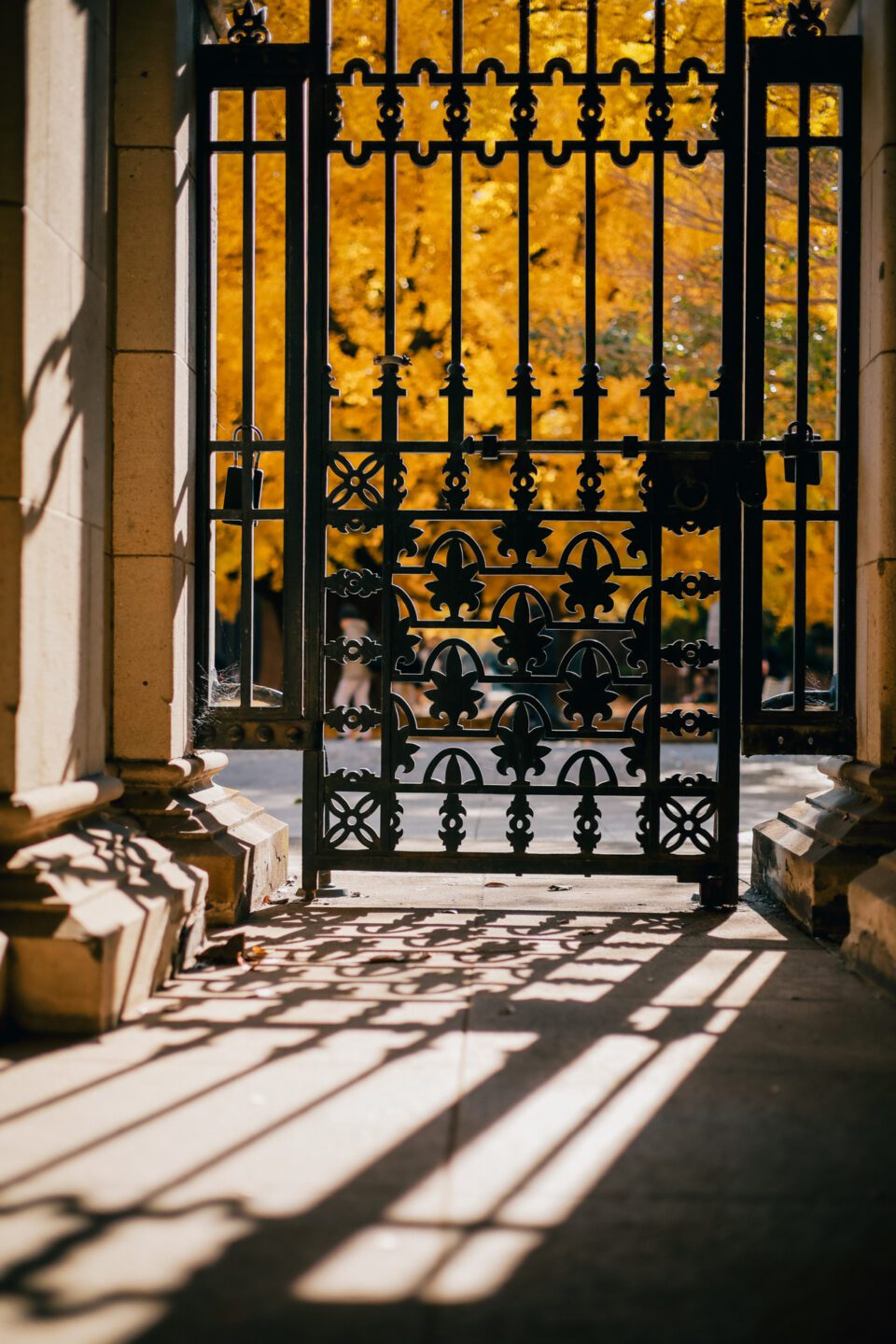 秋。家庭旅行紀錄｜銀髮族旅拍｜河口湖｜山中湖｜銀杏｜東京